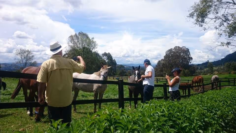Orchids of Antioquia: Nature’s Living Jewels — A Journey of Color & Beauty from Medellin