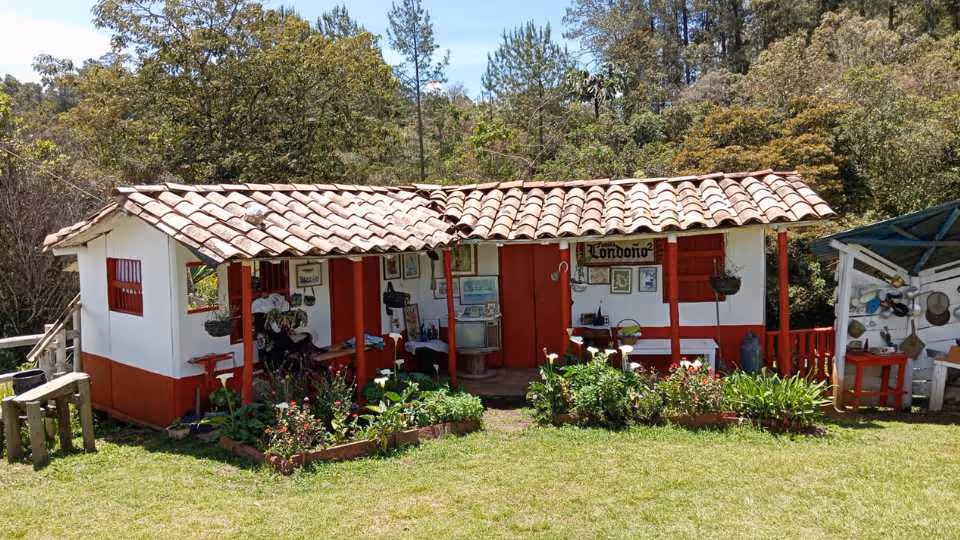 Arví Park & Santa Elena Adventure: Forests, Flowers & More to Explore from Medellin