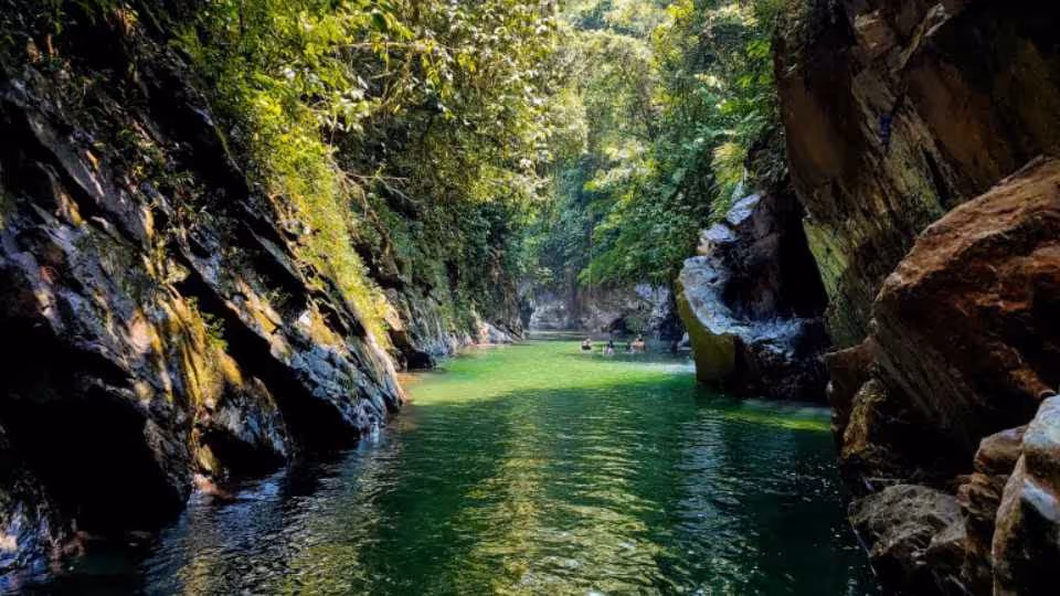 Ride Wild: ATV Adventure + Add-Ons in Cocorná from Medellin