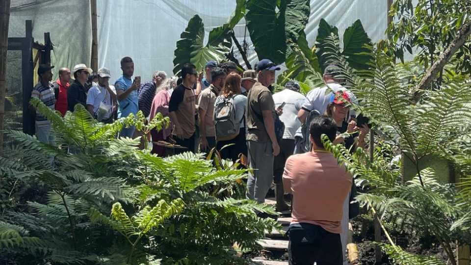 Guatapé (optional paragliding, coffee, atv, boat) tour from Medellin