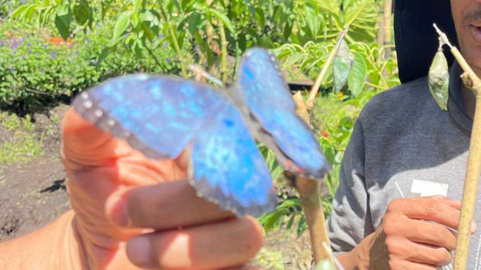 Guatapé (optional paragliding, coffee, atv, boat) tour from Medellin