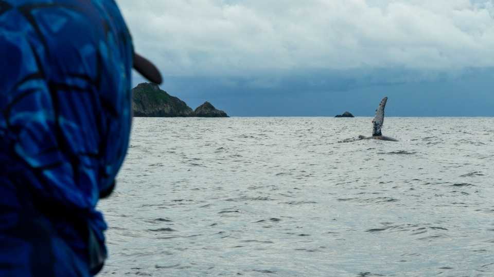 Tour colombia, Chocó