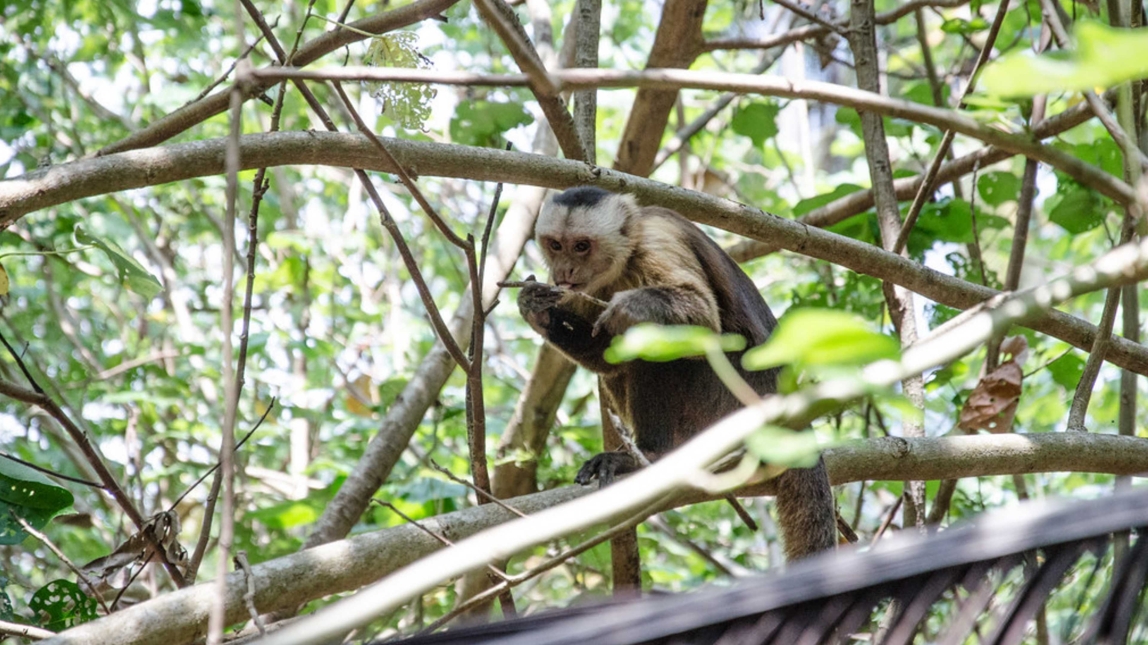 Tour colombia, santa marta