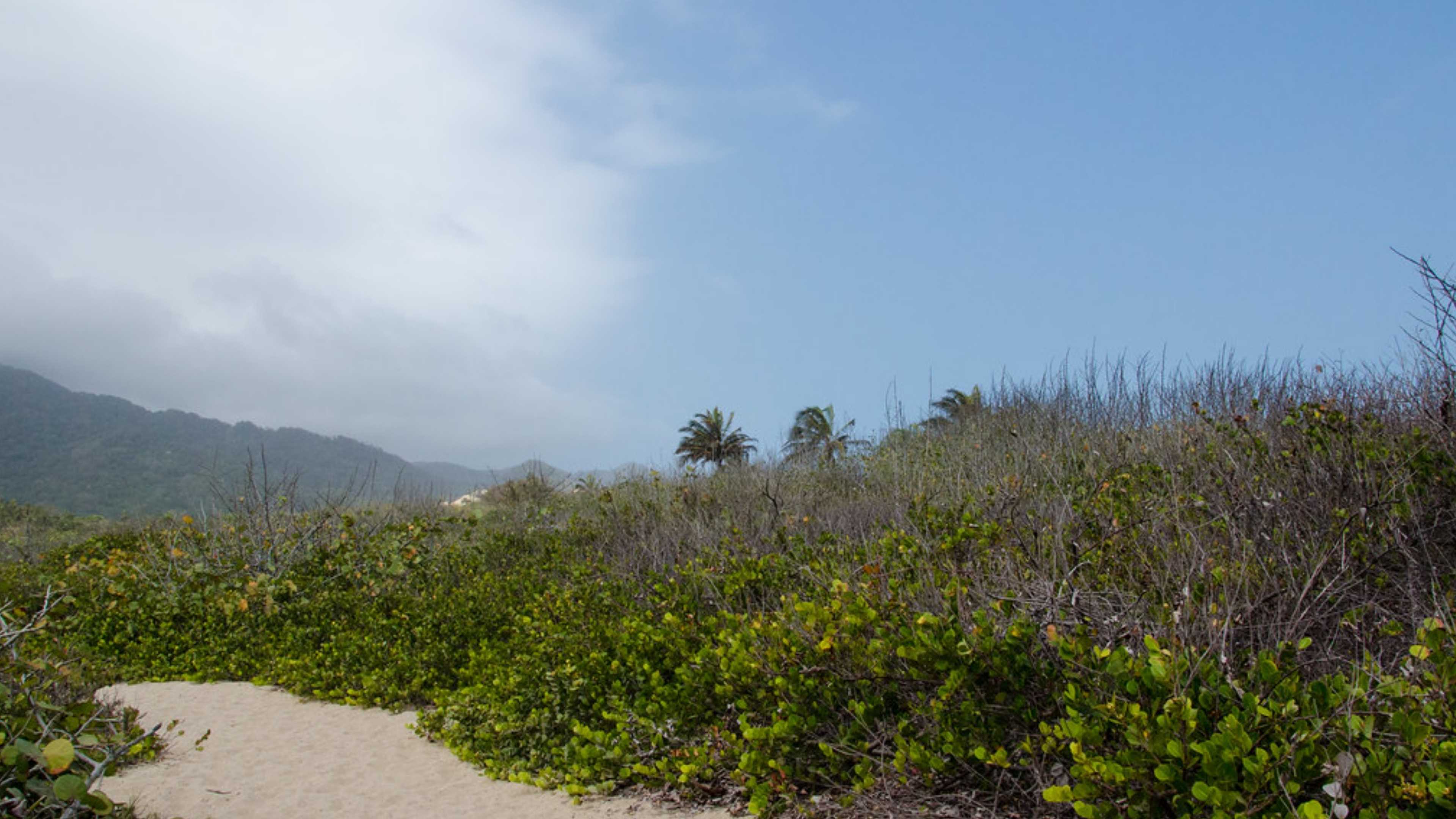 Tour colombia, santa marta