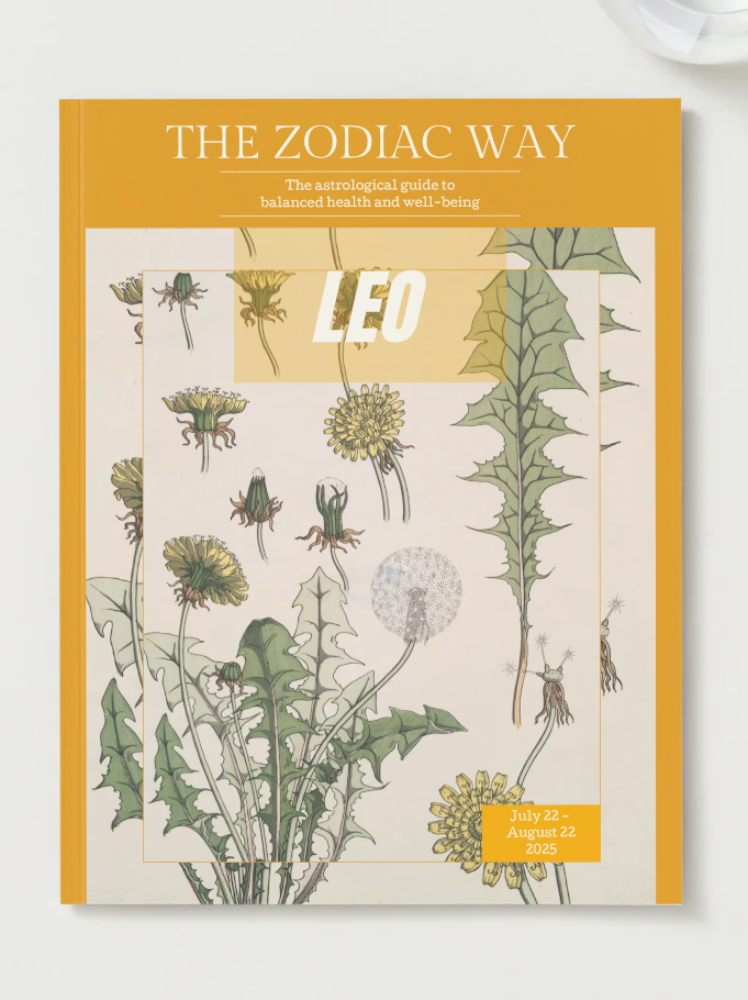 cover of Leo Season magazine with dandelions