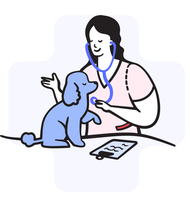 Illustration- vet with dog