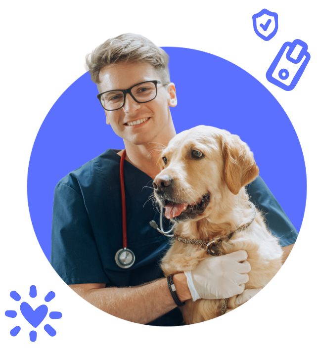 Photo- Vet witth Dog