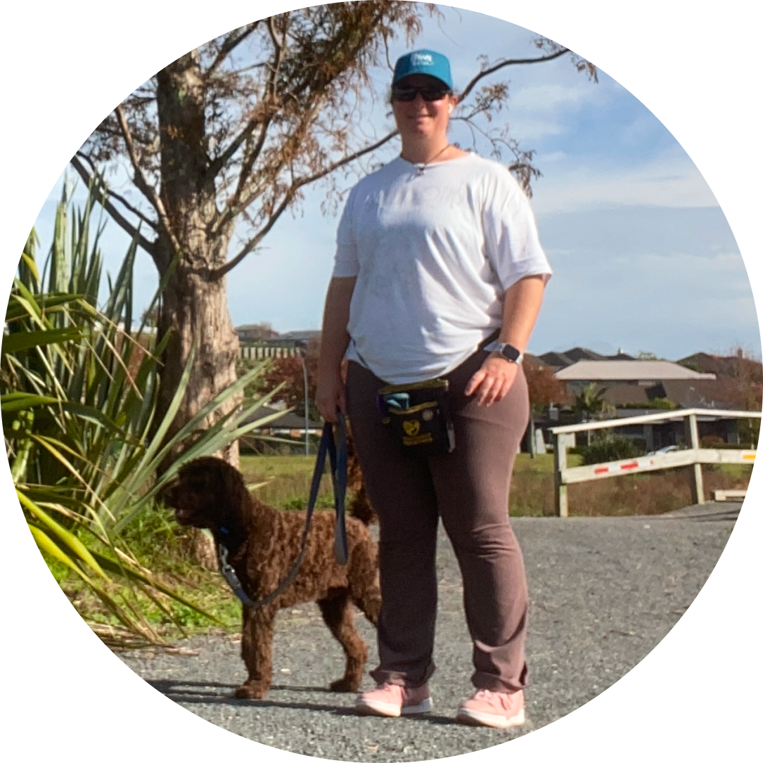 Dog walking in the heart of Tauranga with alphie