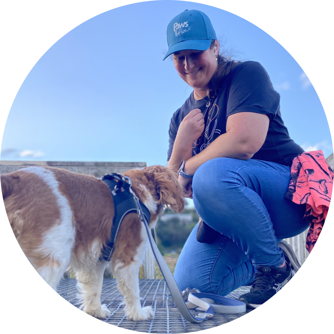 Professional dog walker Brooke feeding Cooper during a Tauranga walk