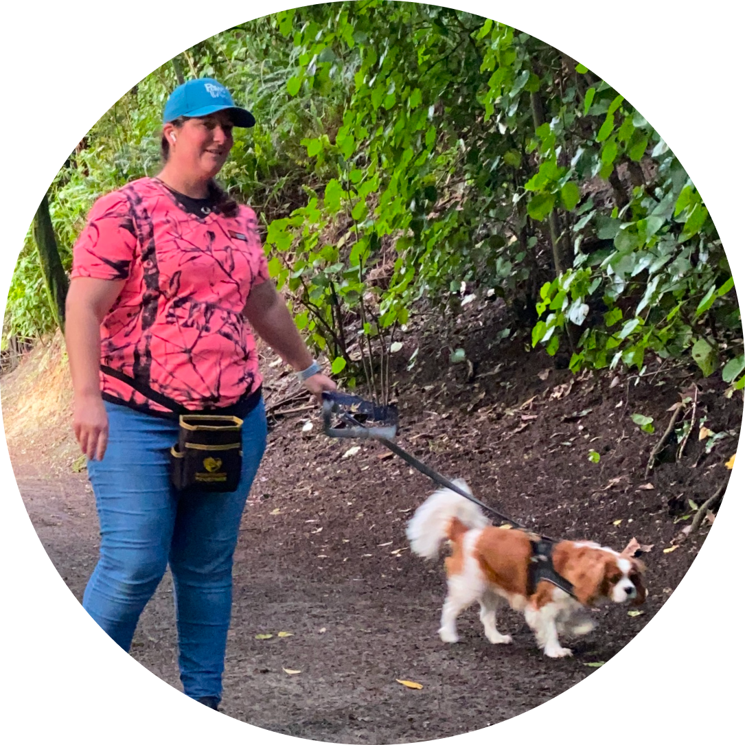 Affordable dog walking services in Tauranga
