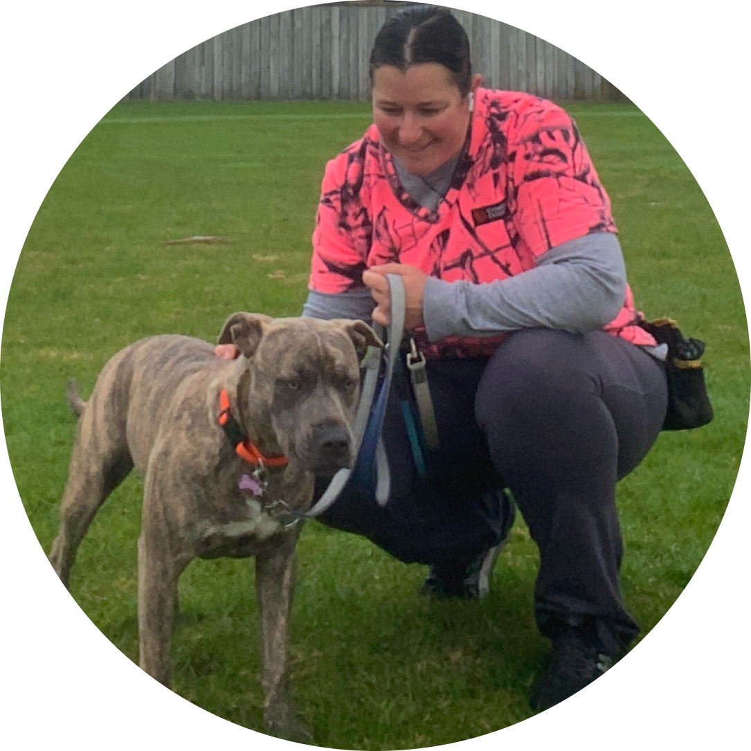 Dog trainer in Tauranga supporting a family dog during an empathetic, neurodiversity-aware training class