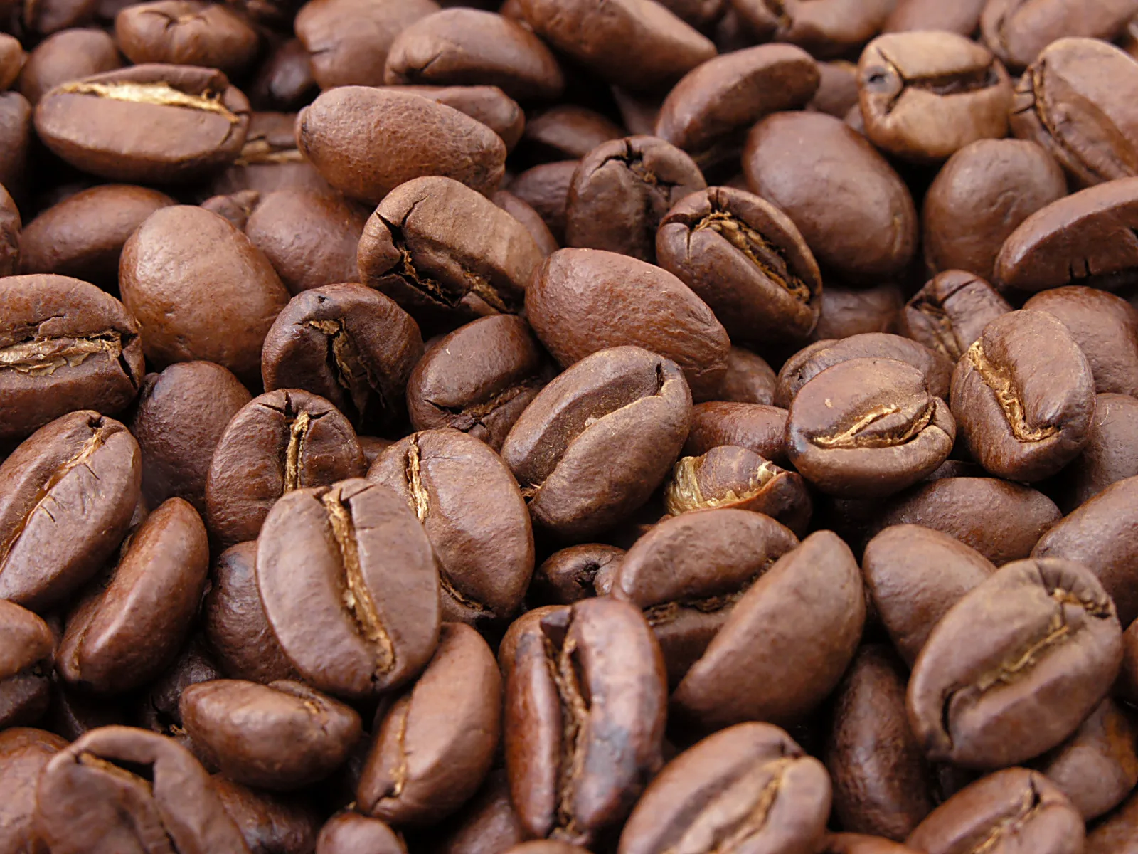 Close-up of roasted coffee beans