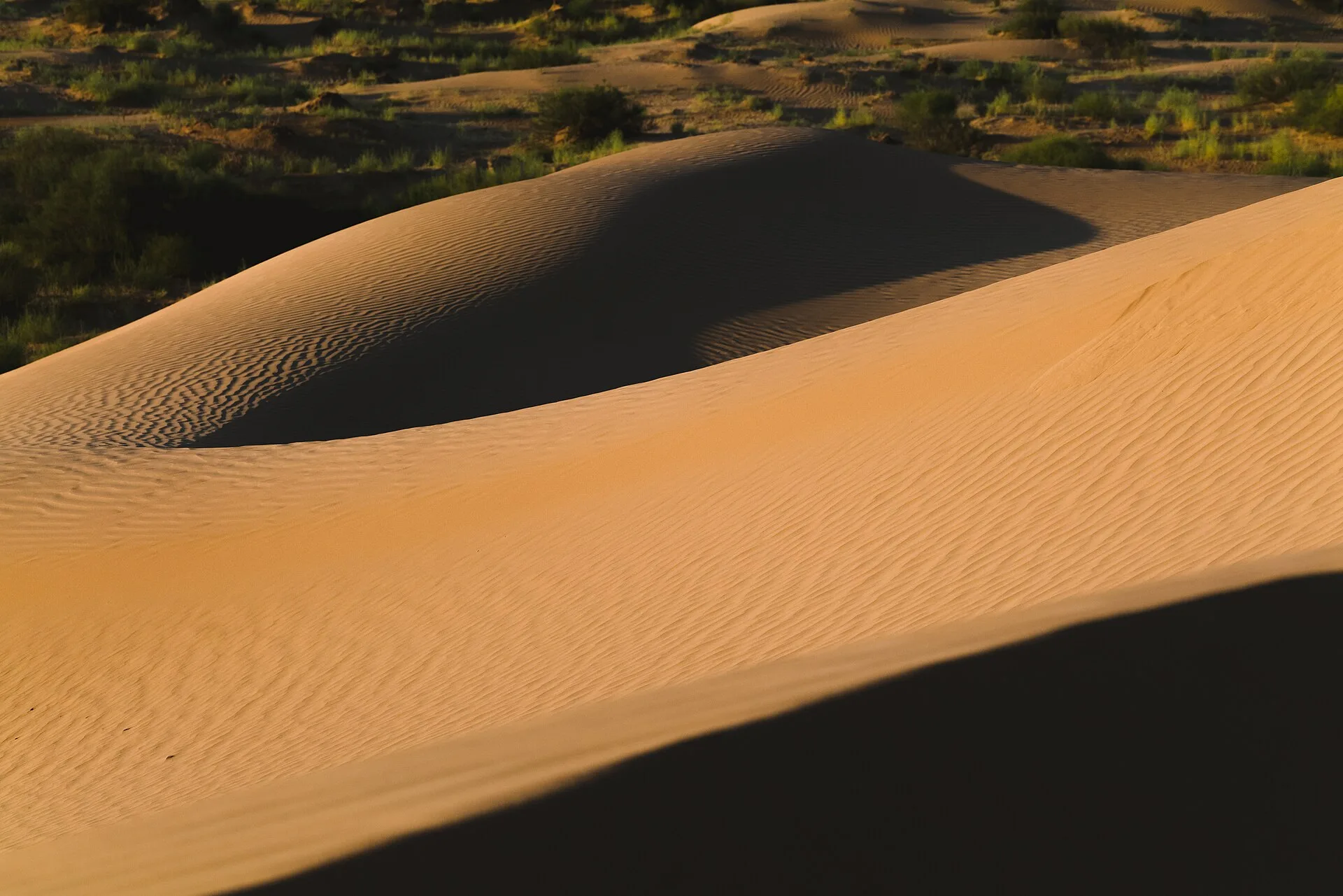A crescent-shaped barchan sand dune in the steppe of southern Russia
