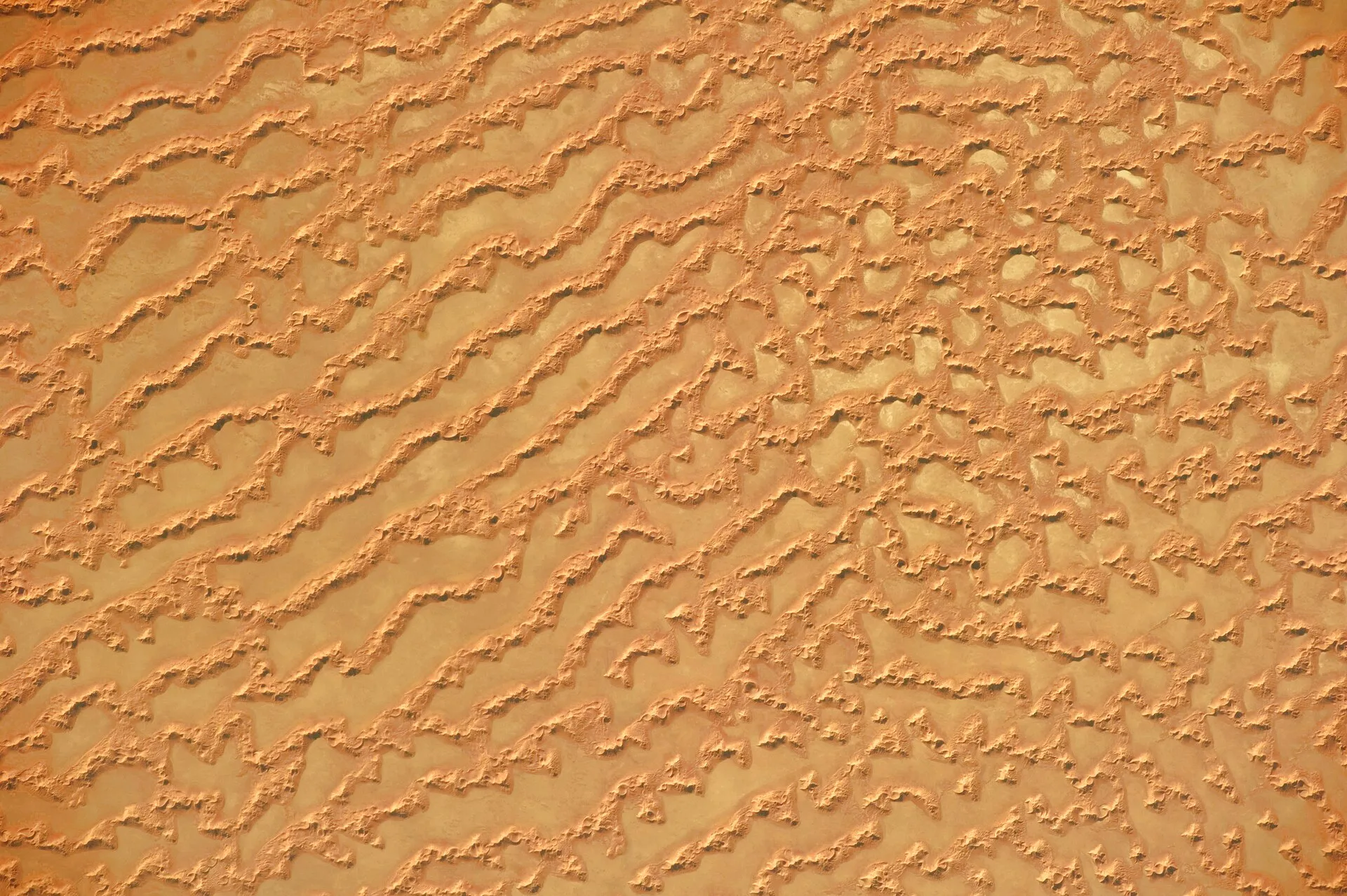 Astronaut view of reddish-brown linear dunes and pale salt flats in the Rub' al Khali, Oman