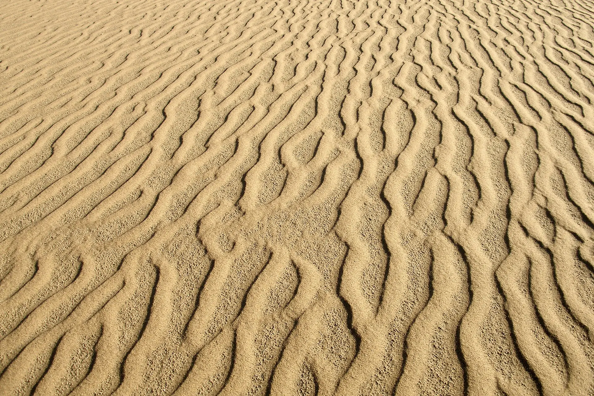Regular wind ripples on the surface of desert sand at Dakhla Oasis, Egypt