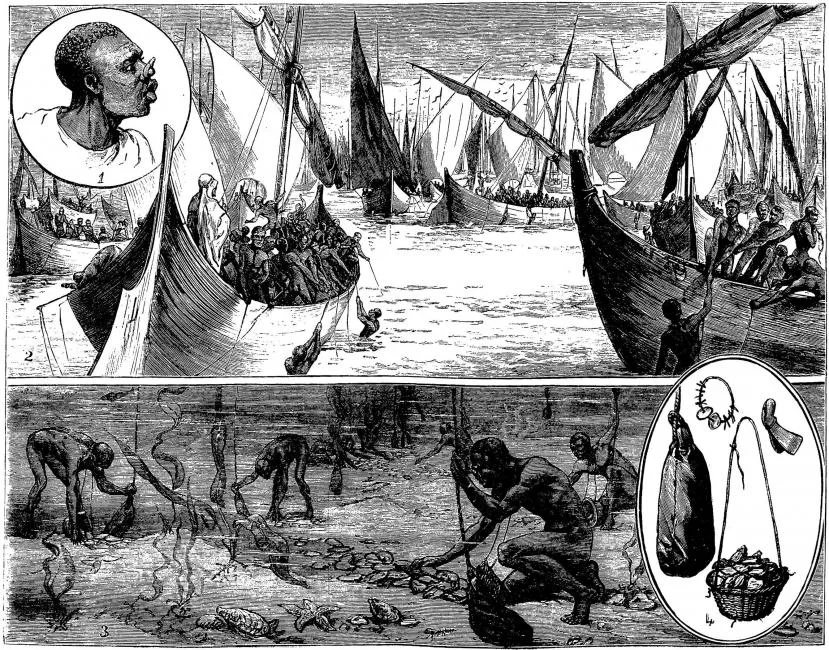 Nineteenth-century engraving of Gulf pearl divers, their boats and diving apparatus