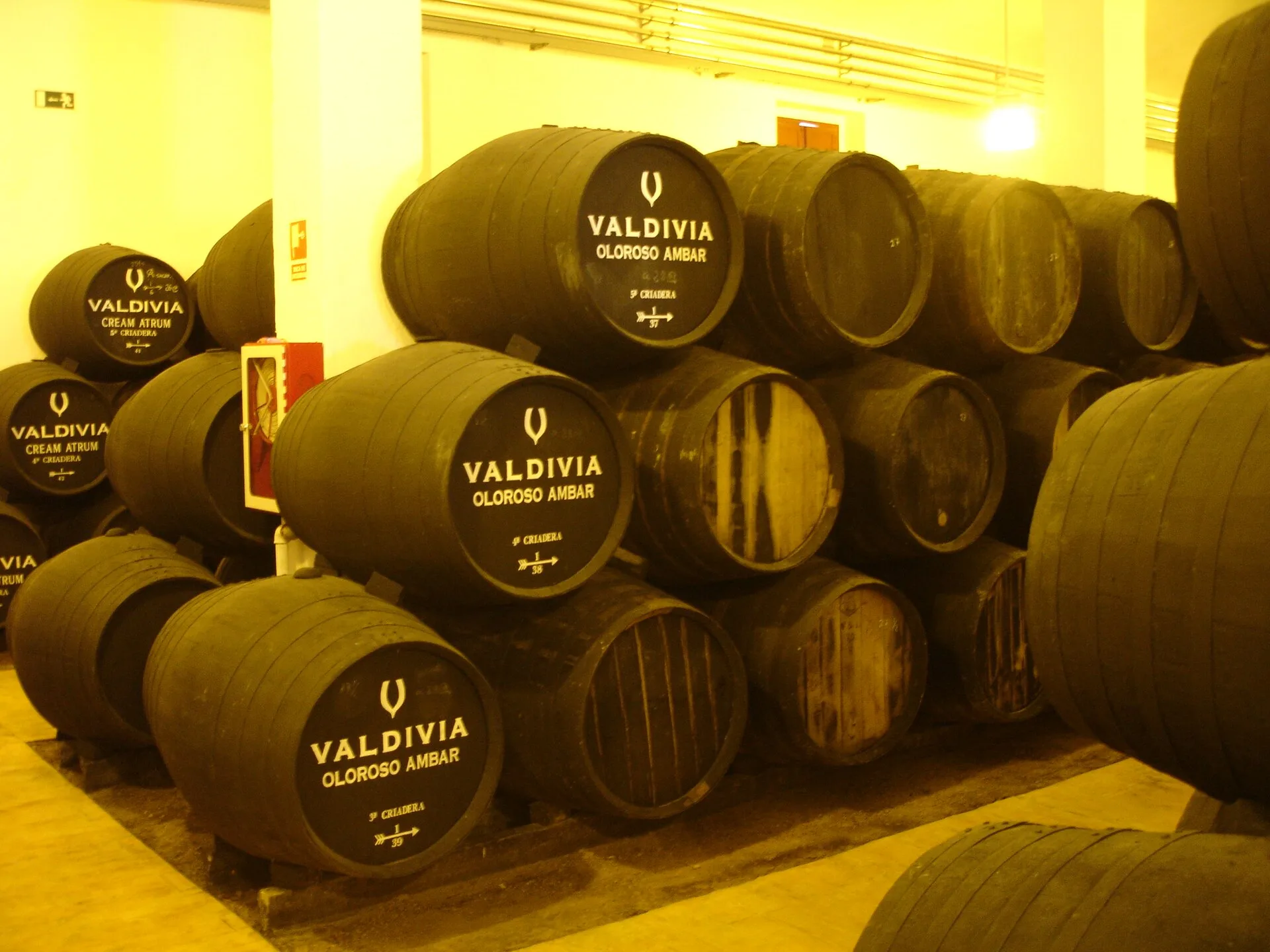 Sherry casks in a bodega in Jerez