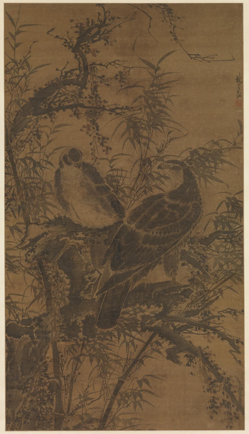 Ink hanging scroll of two hawks among dense branches and leaves