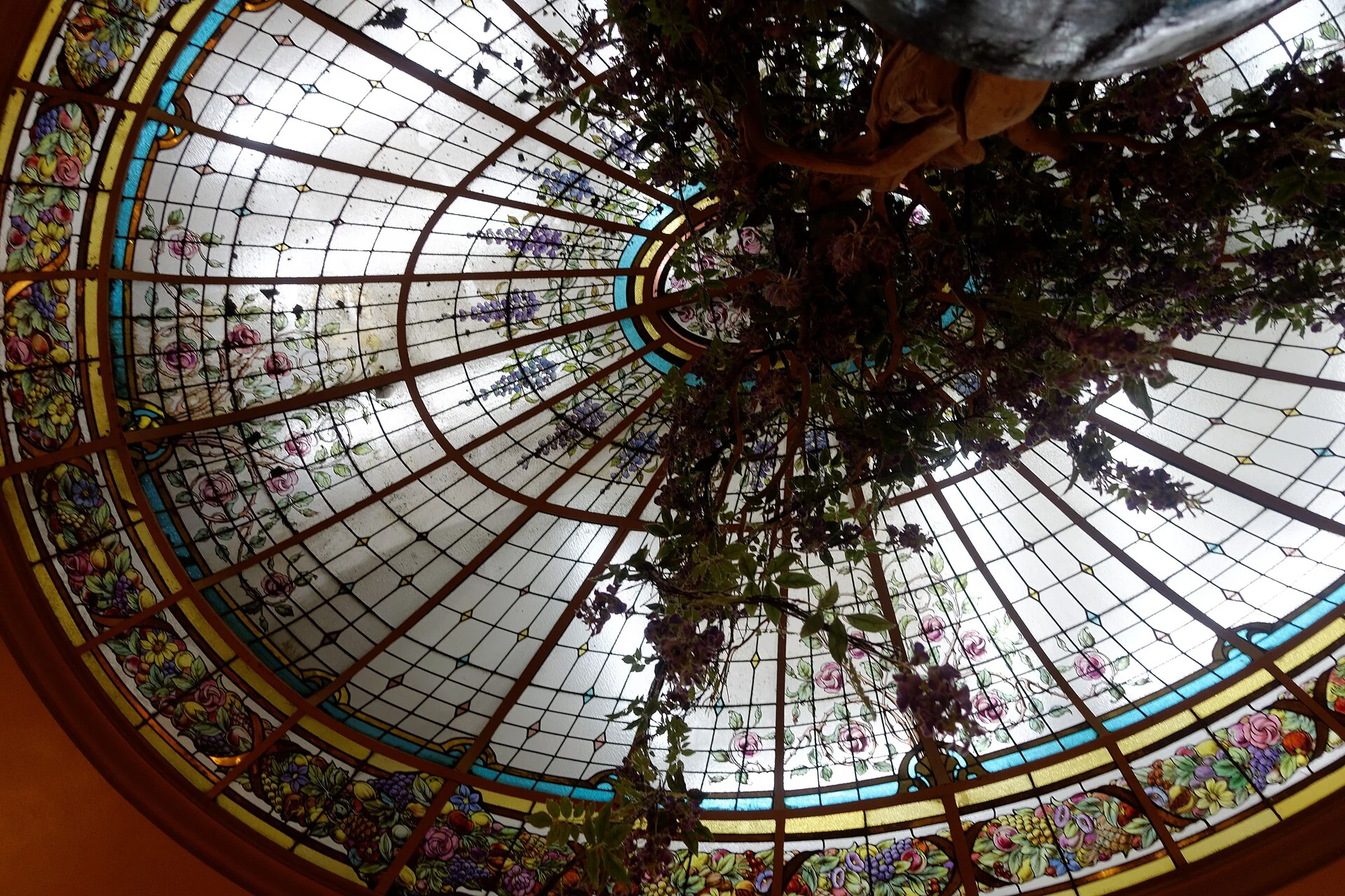 Stained glass dome with floral panels seen from below in Bofinger