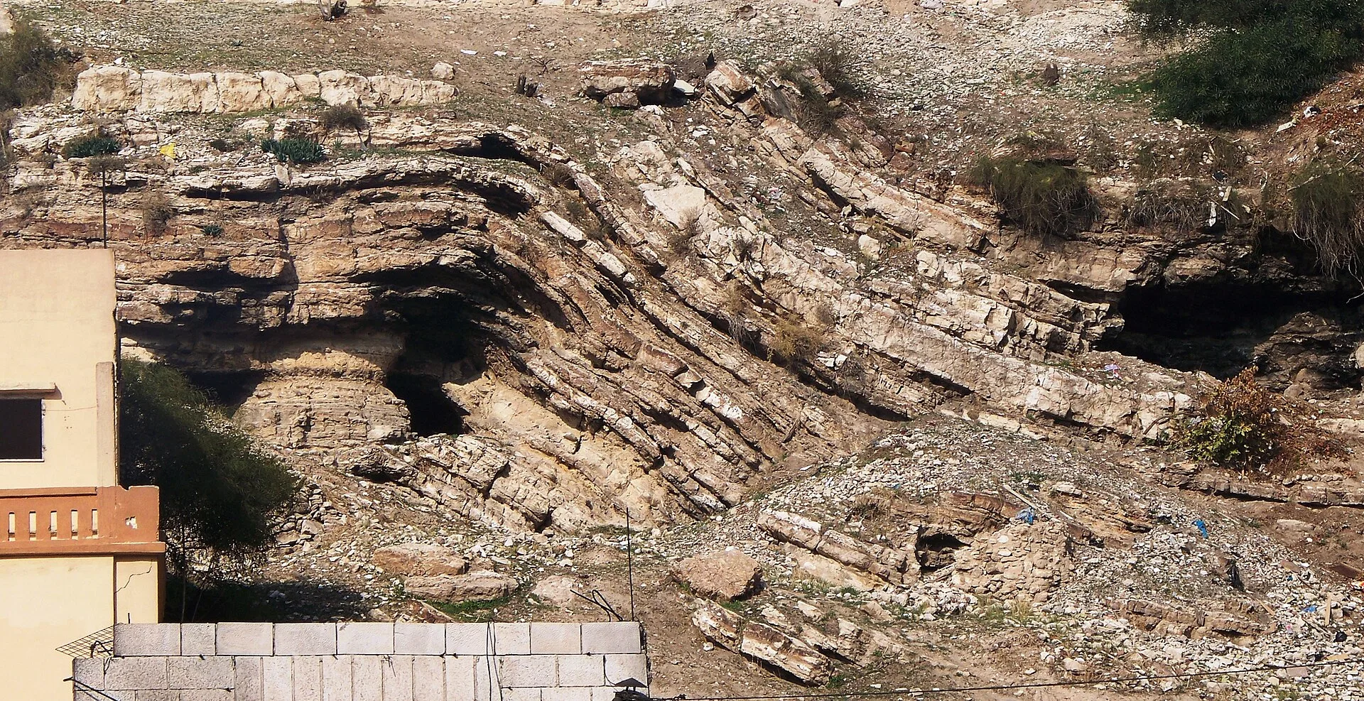 Rock cutting showing curved, folded layers of pale sedimentary stone
