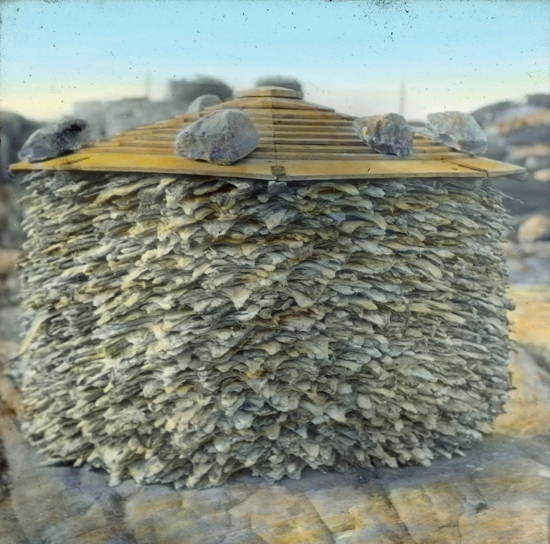 Hand-coloured photograph of a tall round stack of dried fish under a weighted wooden roof