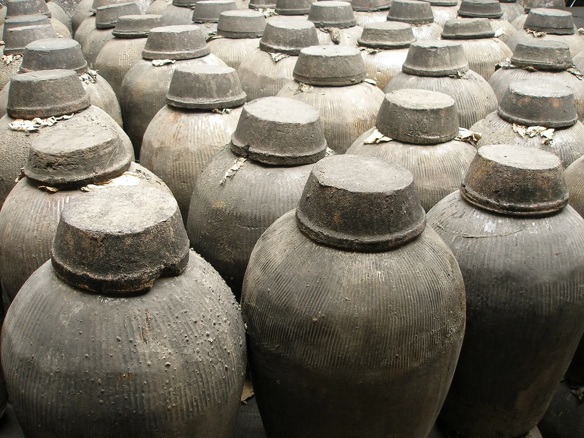 Rows of large earthenware wine jars with sealed tops