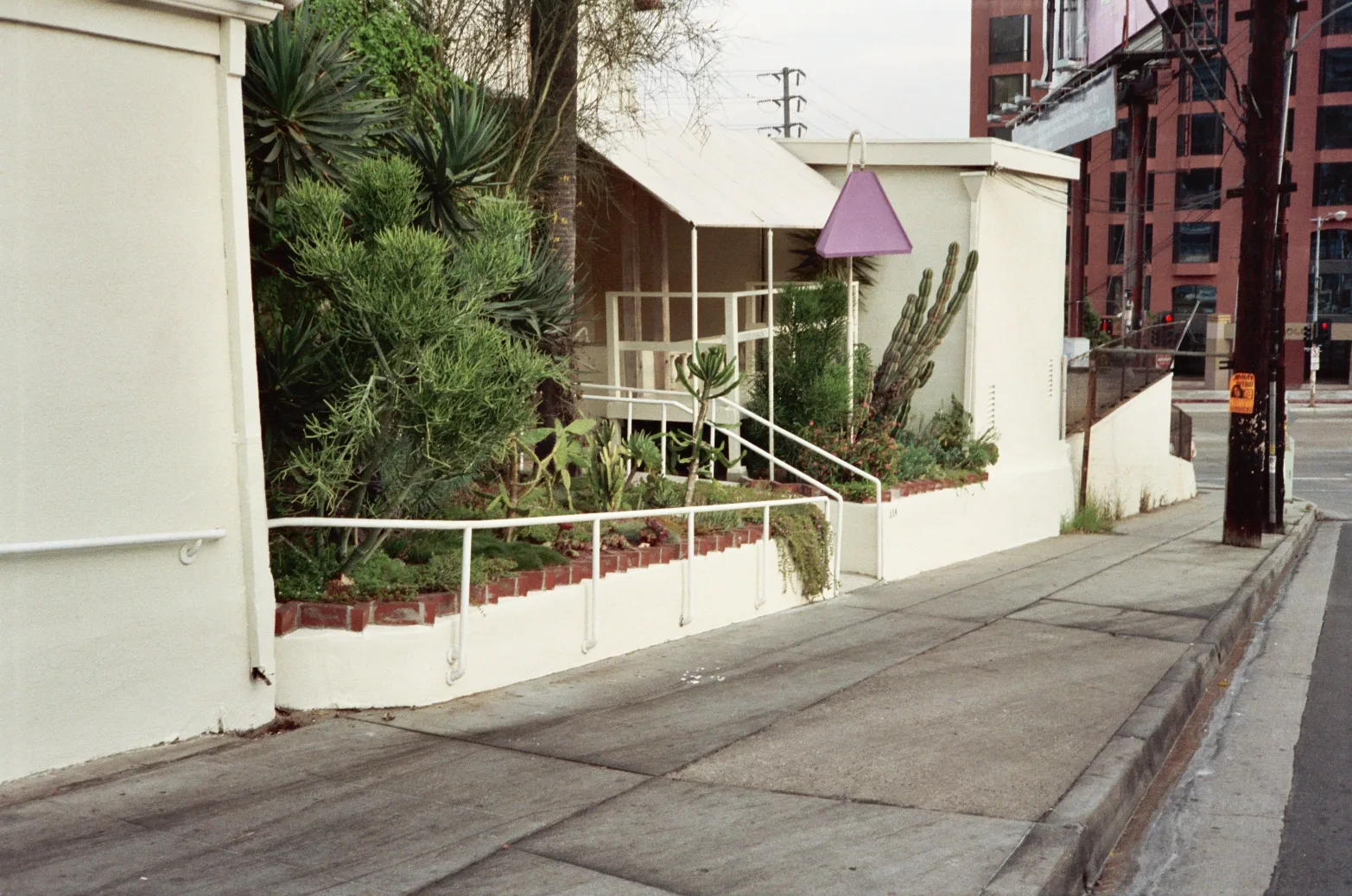 Paved driveway beside white walls and tropical plants leading to a restaurant entrance