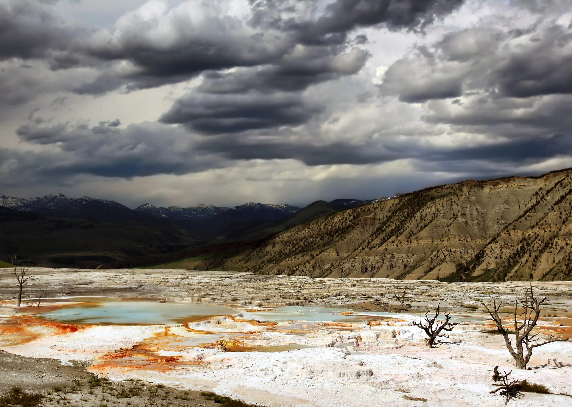 Pale mineral terraces with steaming pools and dead trees below a stormy sky