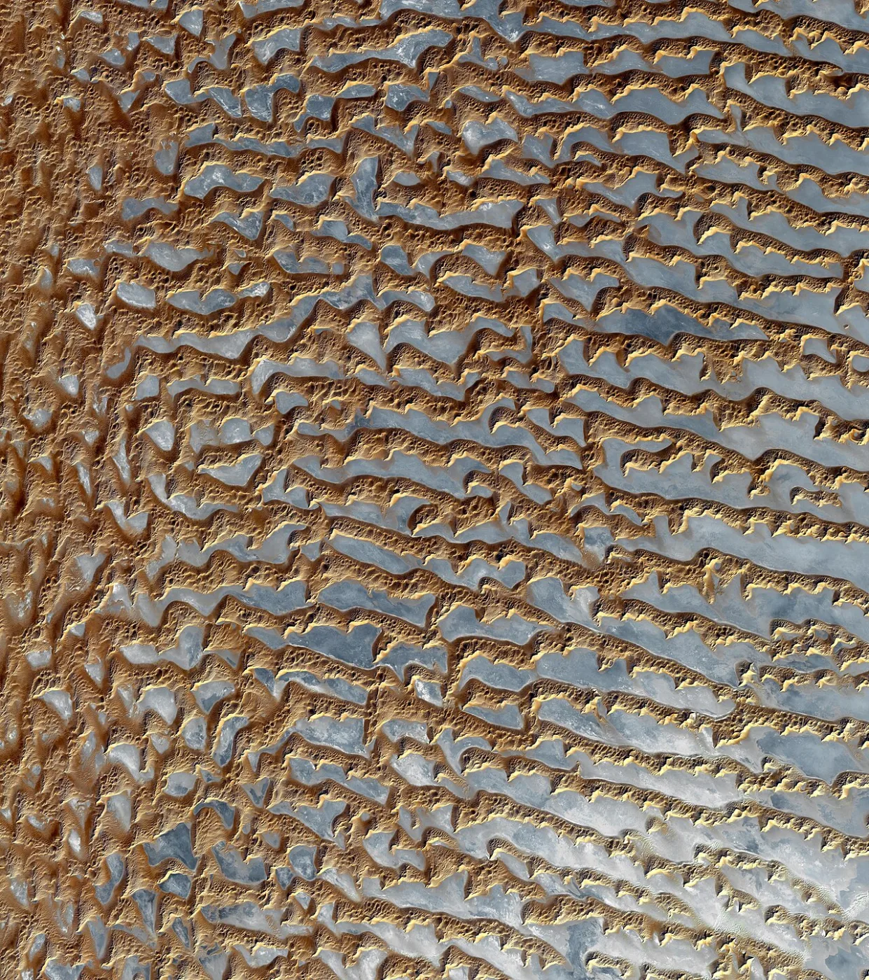 Satellite image of long parallel sand dunes separated by pale flats