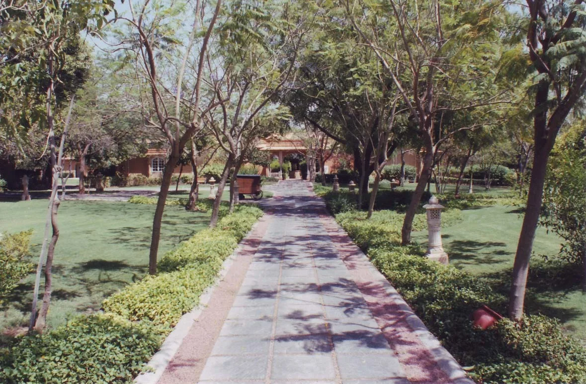 Shaded garden path lined with trees leading to low sandstone buildings