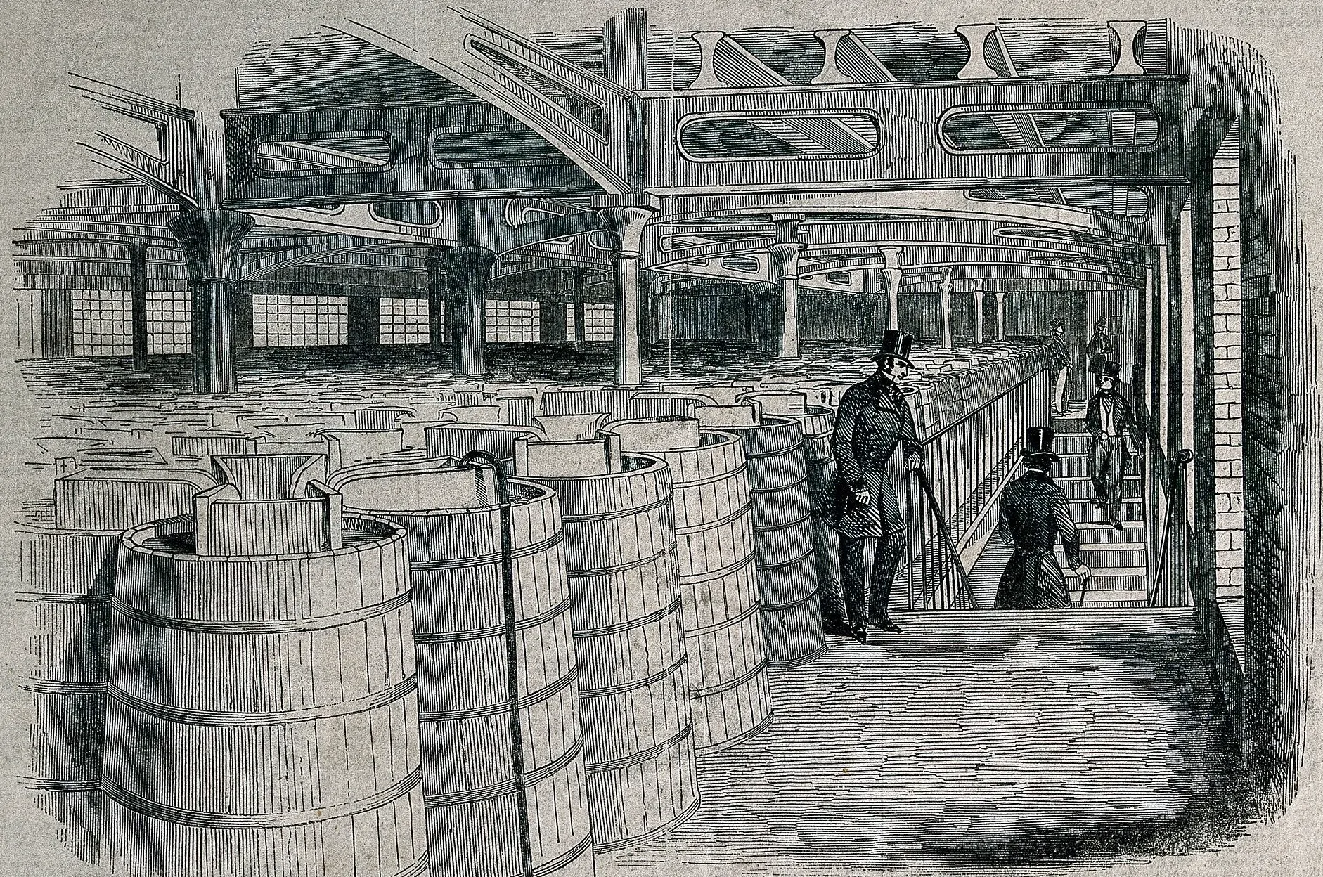 Engraving of visitors in top hats walking past rows of large wooden vats
