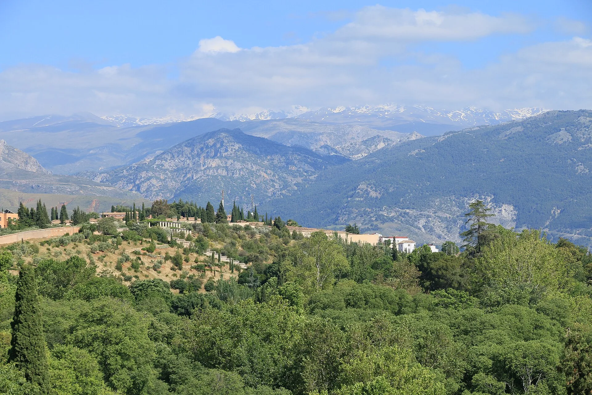 Wooded hills of Granada with the snow-capped Sierra Nevada beyond