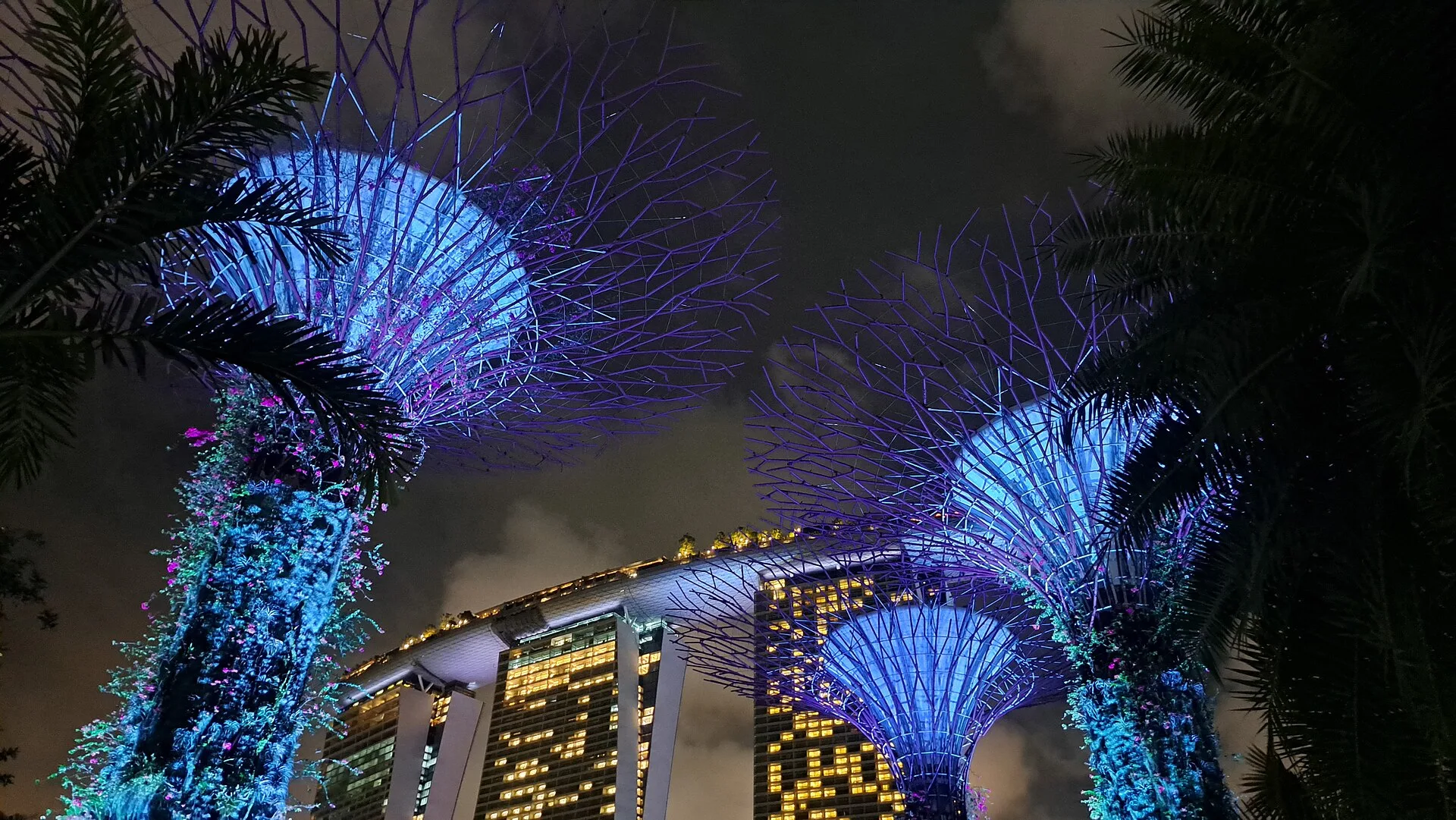 Illuminated tree-like steel structures glowing blue at night with towers behind
