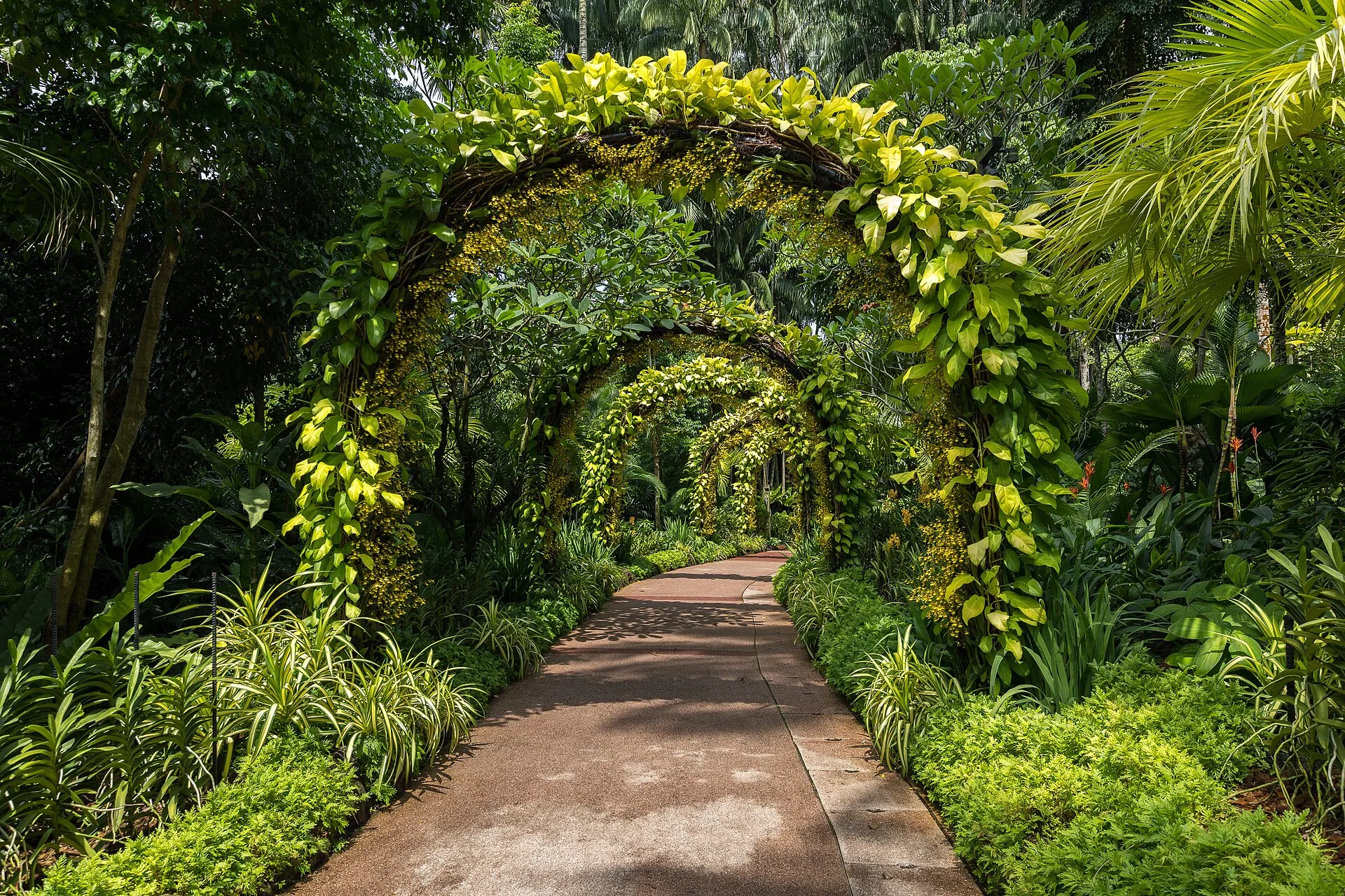Garden path passing under a series of arches covered in climbing plants