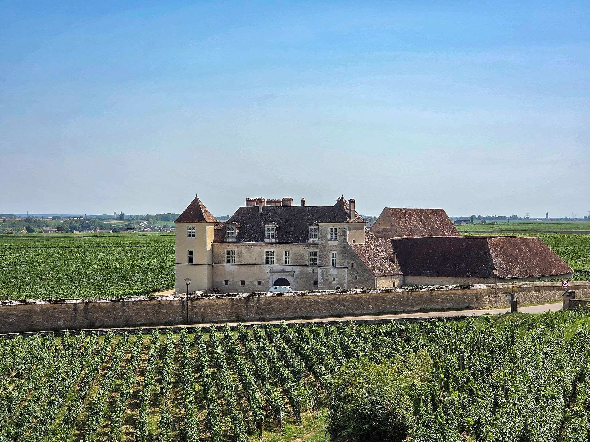 Stone château with a tiled roof surrounded by rows of vines