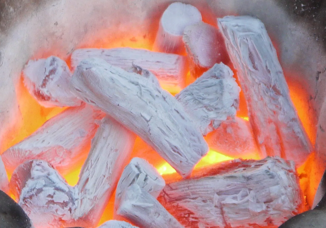 Binchotan charcoal: how Japan's white charcoal is made in Kishu and Tosa