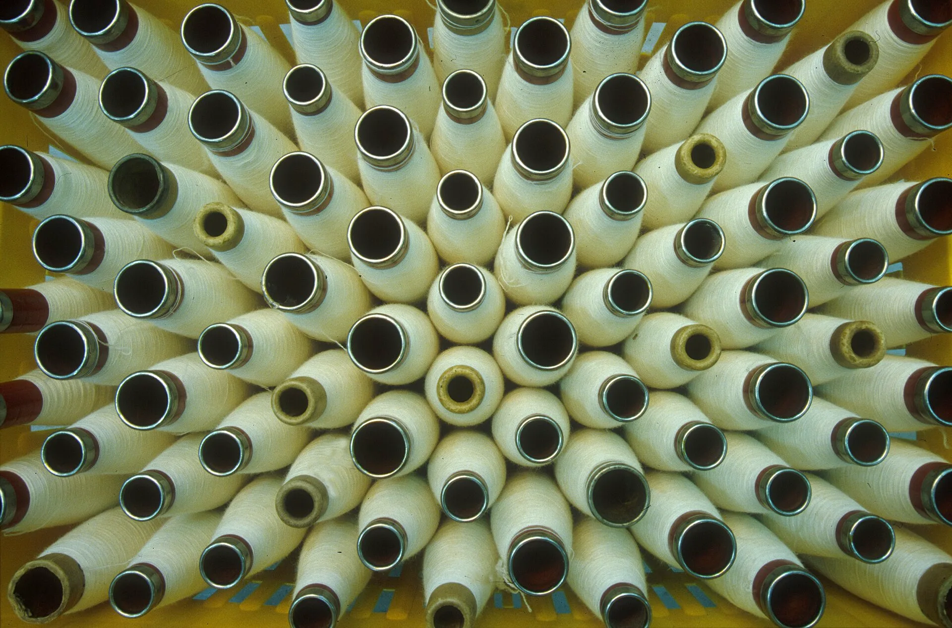 Rows of cream wool yarn bobbins seen end on against a yellow frame