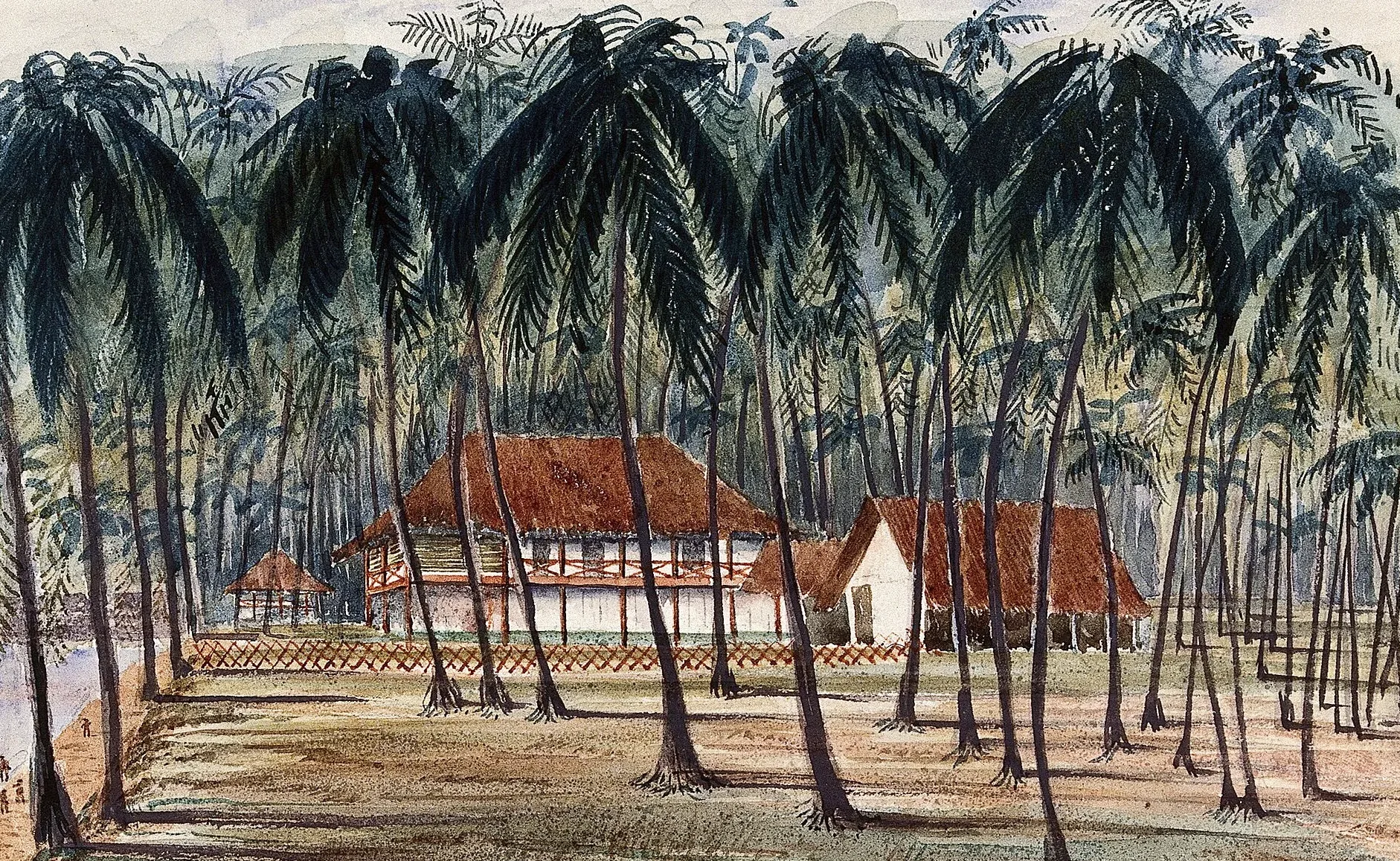 Watercolour of red-roofed bungalows behind a low fence among tall coconut palms