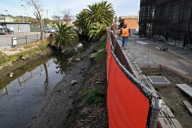 A contractor walks along the new retaining wall at the WildCare project site in San Rafael, Calif., on Monday, Feb. 9, 2026. The wall offers higher flood protection against San Rafael Creek. (Alan Dep/Marin Independent Journal)