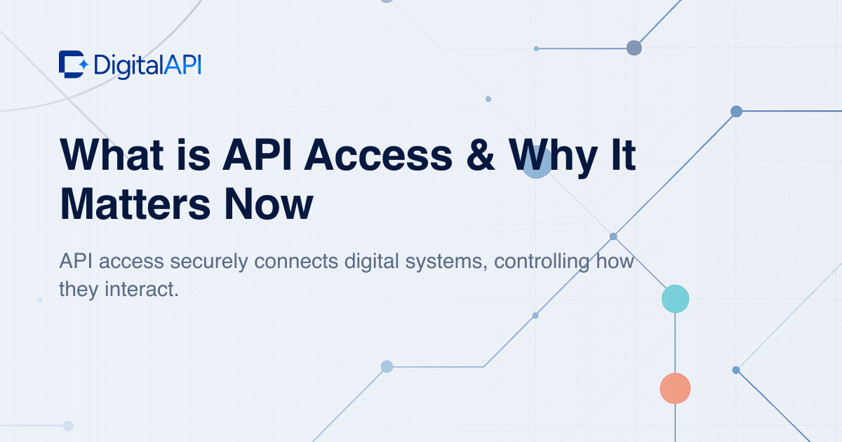 What is API access — DigitalAPI