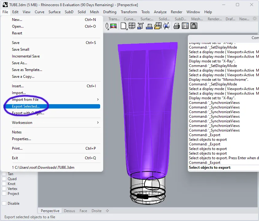 3D model of Tube in Rhinoceros software