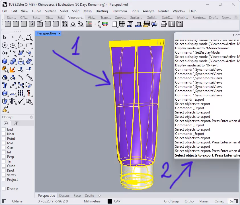 3D model of Tube in Rhinoceros software
