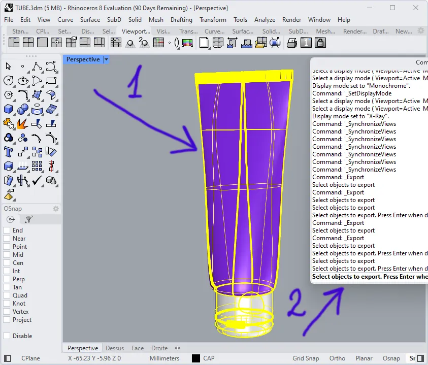 3D model of Tube in Rhinoceros software