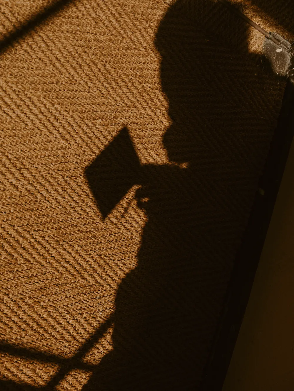 Schatten von Kim Weber mit Notizbuch: Symbol für leise, leistungsstarke Solo-Unternehmerin im Branding- und Webdesign-Prozess