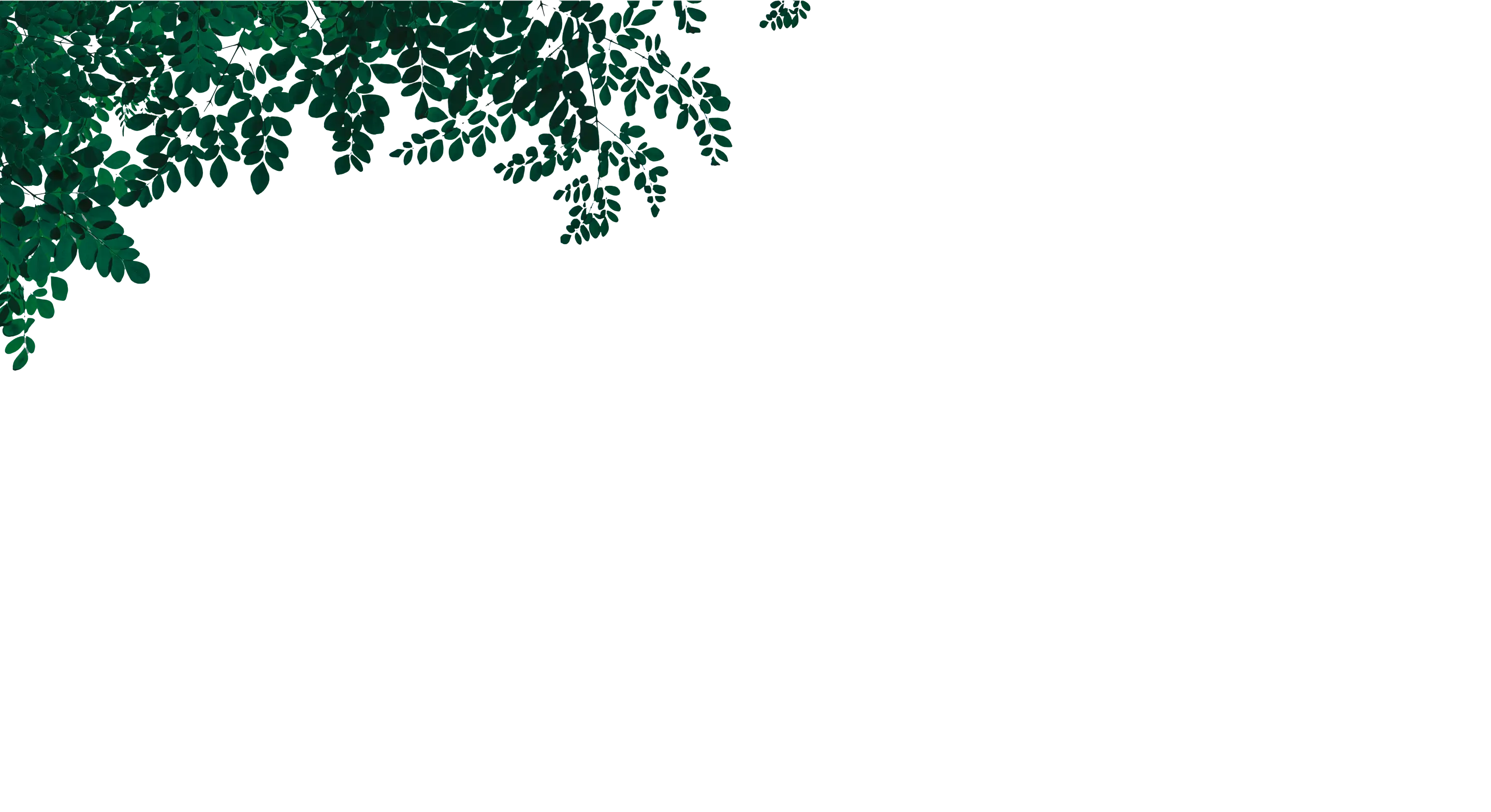 solutions_top_bg