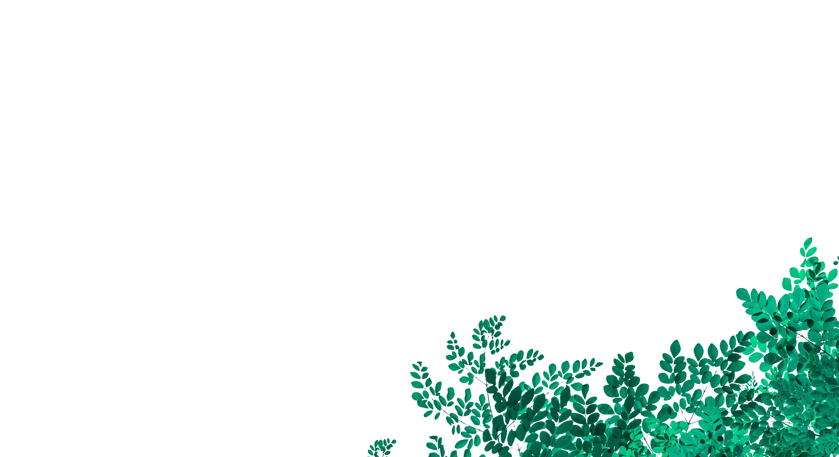 solutions_bottom_bg