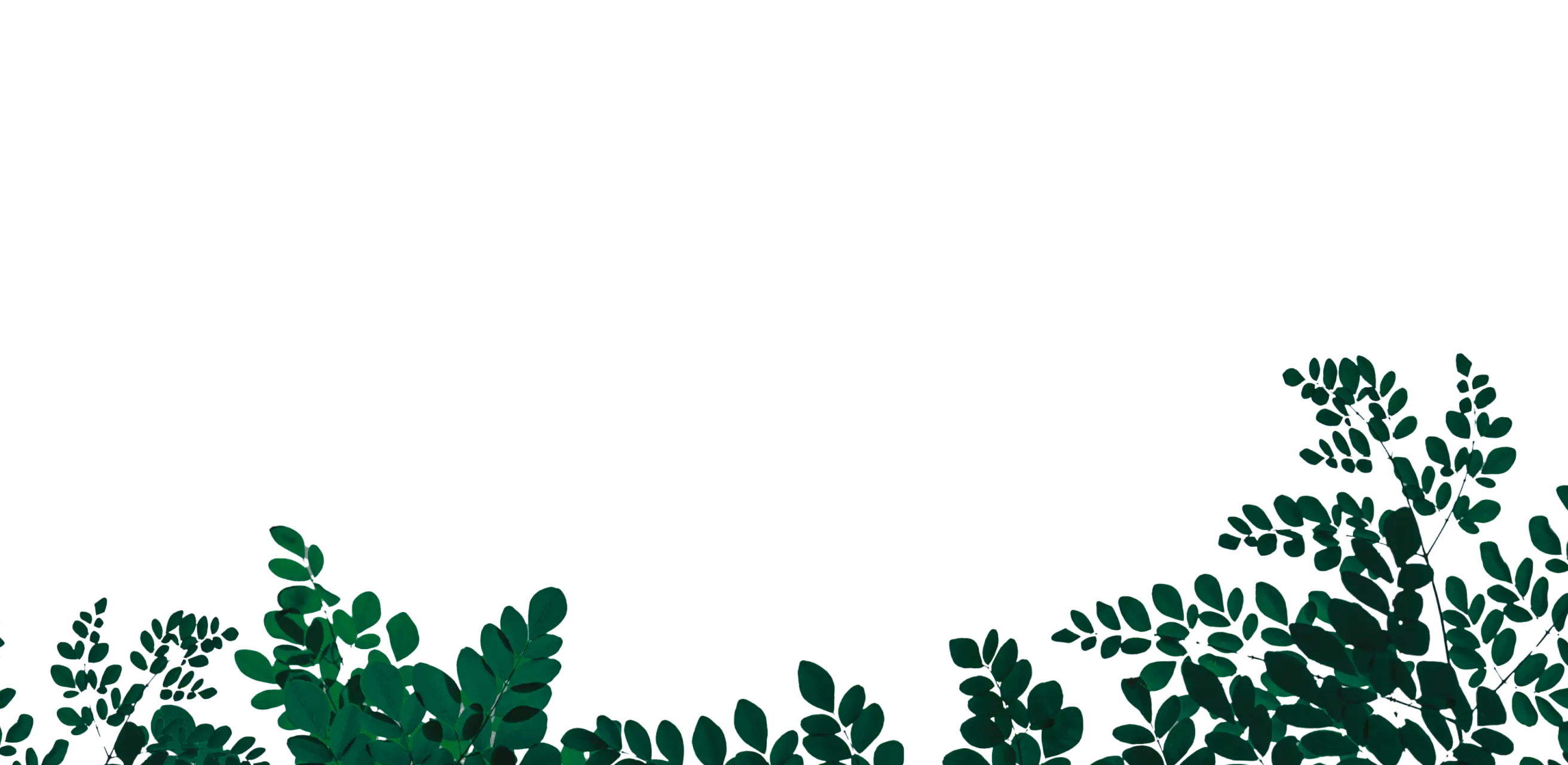 sustainability_bottom_bg