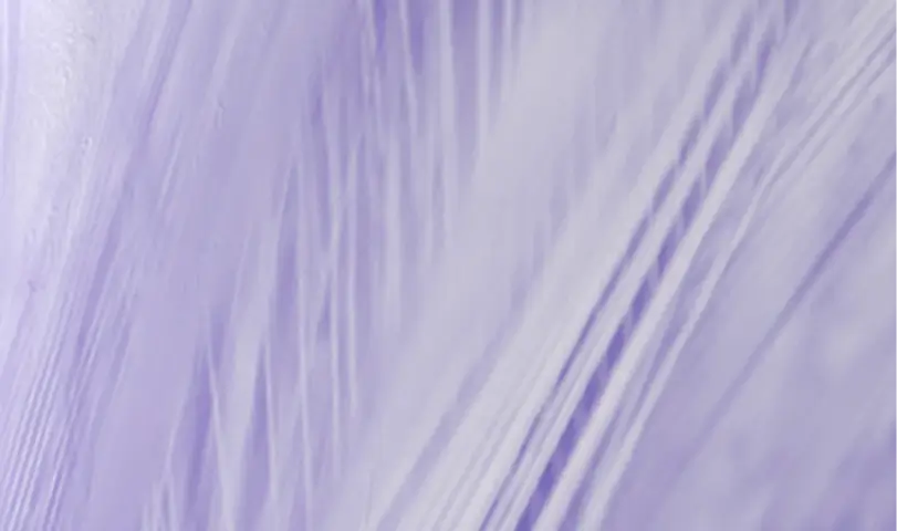 print-finishes_image