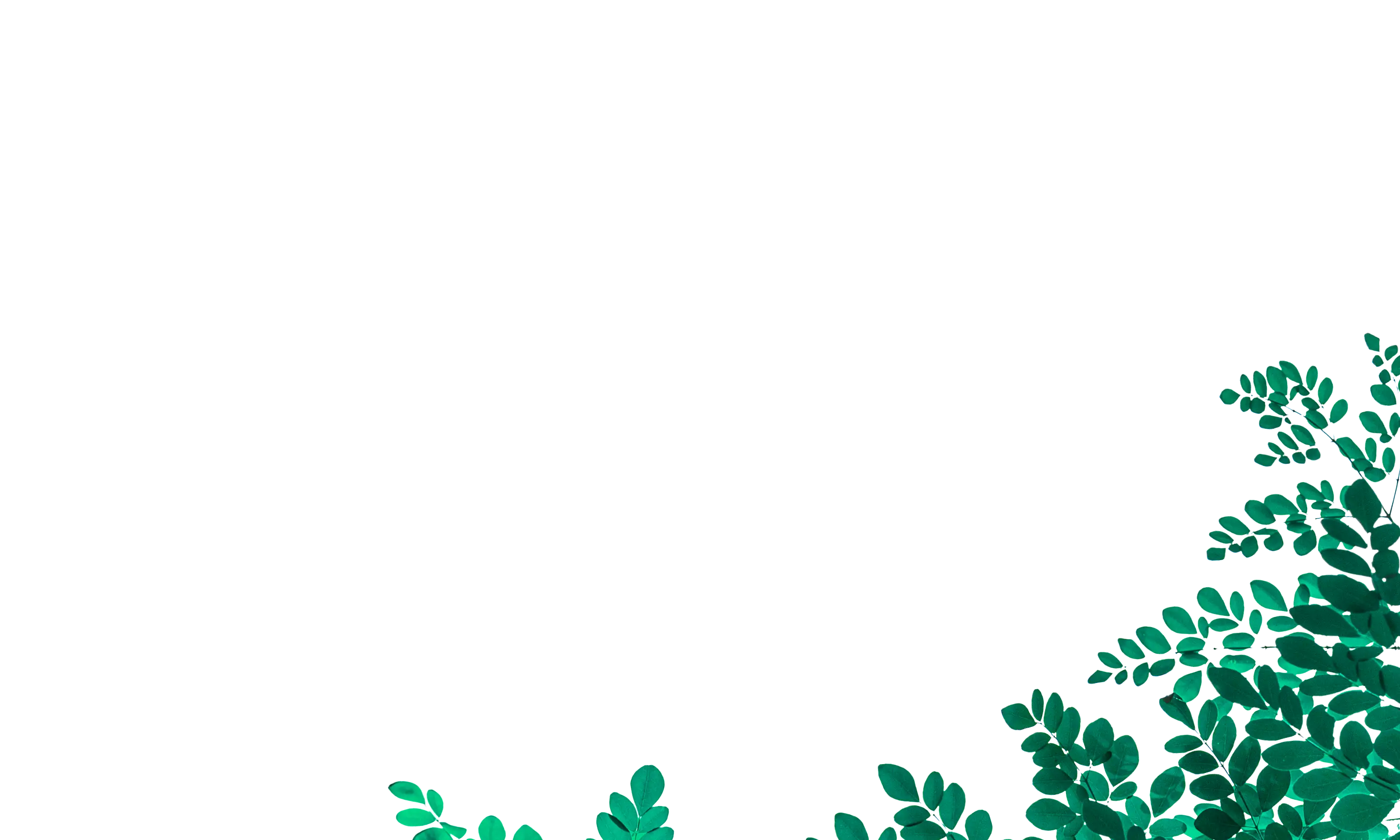 sustainability_bottom-bg
