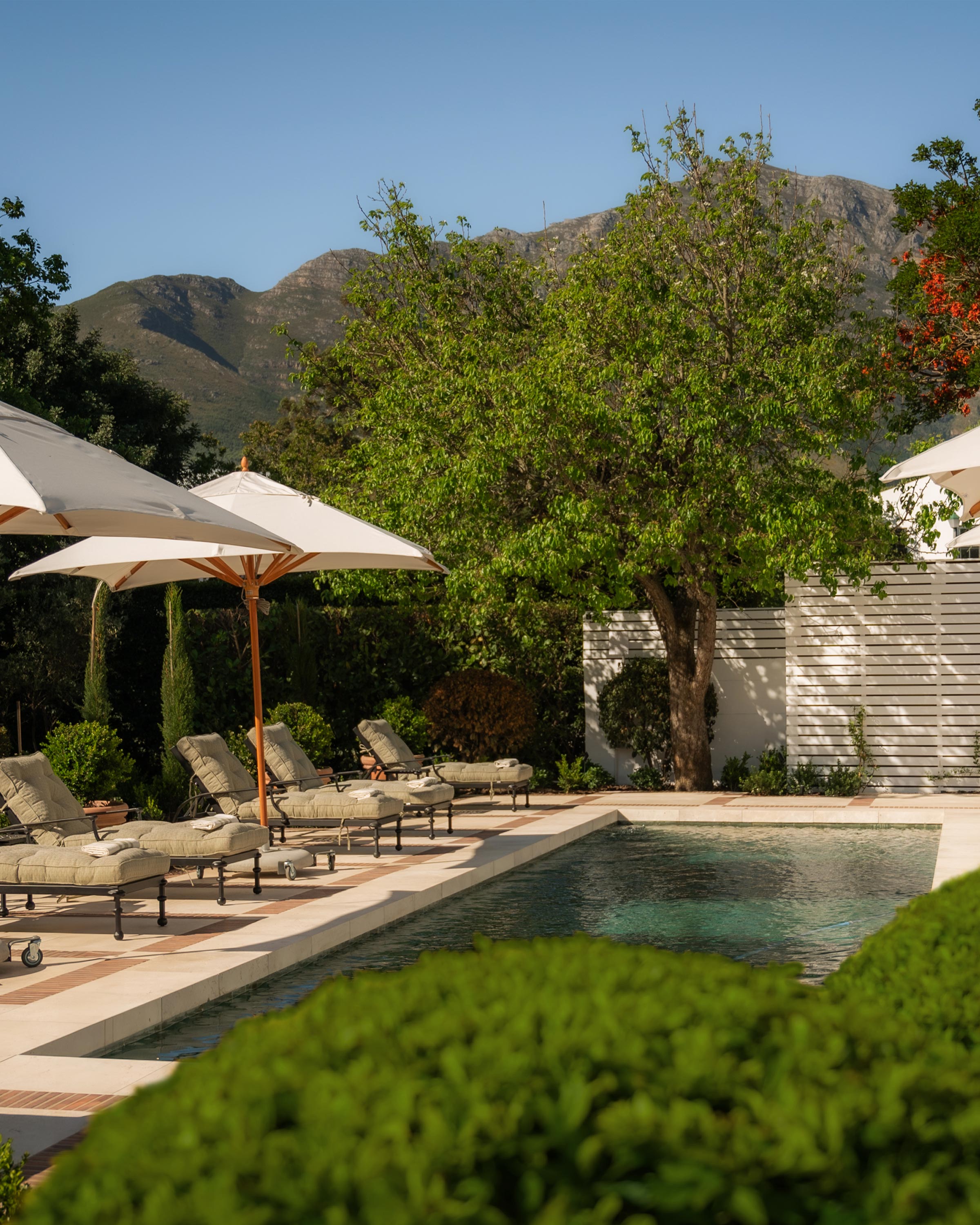 Luxury outdoor pool area with multiple pool lounges and umbrellas. Garden is lush. Franschhoek mountain scape in the background